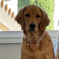 John Pflughoft 🇺🇸 (@johnpflughoft) 's Twitter Profile