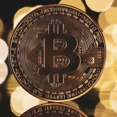 Bitcoinerr1's profile picture. free Palestine 🇵🇸