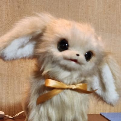 cocoperi* (@cocoperi1984) / X cocoperi* (@cocoperi1984) / X