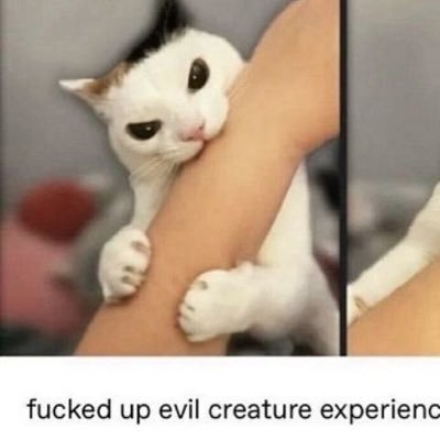 DDbbBBddDDDD's profile picture. They/them