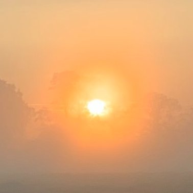 fredenuko's profile picture. 