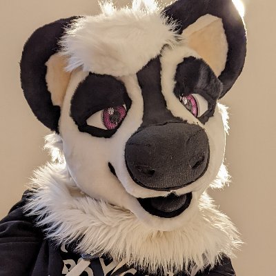 ghostskunk.bsky.socialさんのプロフィール画像