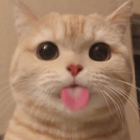 X (@blinkrichelle) 's Twitter Profile