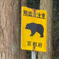 駅長 (@pf60gemini) 's Twitter Profile