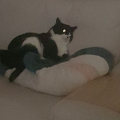 BroccoliMattew's profile picture. Highly functioning depressed pos