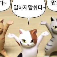 🕯️이슈르카🕯️ (@issues35) 's Twitter Profile
