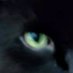 ParkieLibrarian (@librarianparkie) Twitter profile photo ParkieLibrarian (@librarianparkie) Twitter profile photo