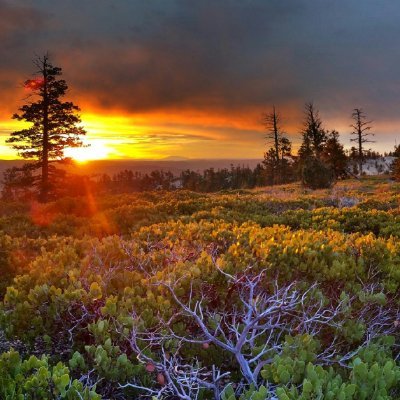 _sain_1178's profile picture. 