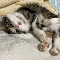 HOLLYS (@irwmn4c3qw5i8a6) 's Twitter Profile