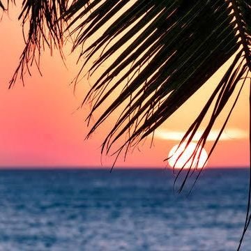 asim0545588's profile picture. 