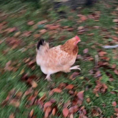 Rowand_'s profile picture. 