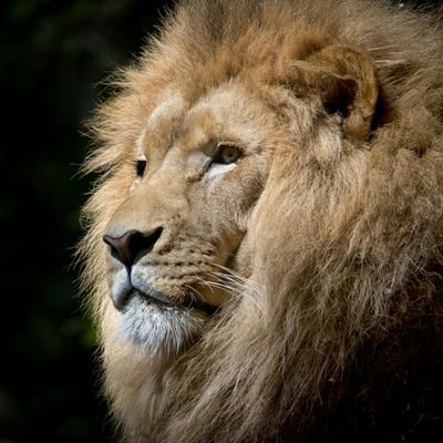 kbswy136587's profile picture. 