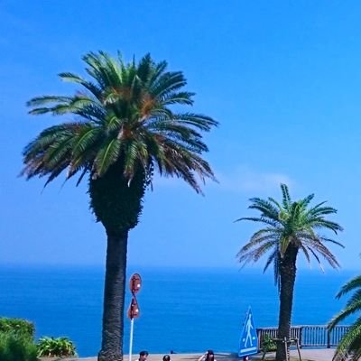 tegekmi's profile picture. 何気ない宮崎の日常や良い場所美味しいものを気の向くままにお伝えします。宮崎の魅力がお伝えできれば幸いです。