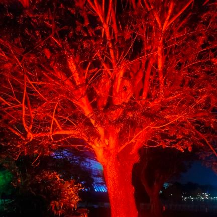 jambukam8511's profile picture. Illiterate