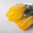 Elisa Roberson - @ElisaRober76144 - Twitter