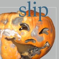 slip(@___slip__) 's Twitter Profile Photo