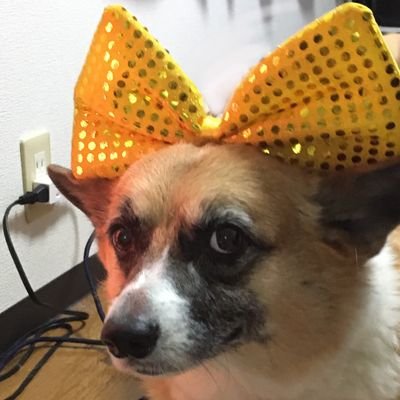 sobako37's profile picture. 草野球と娘にぞっこんのアラフォーおじ