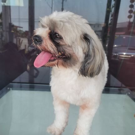 FANBOIEY's profile picture. Realist