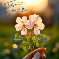 迷迷瞪瞪(互fo互赞)🌺🌺 (@mi72229) 's Twitter Profile Photo 迷迷瞪瞪(互fo互赞)🌺🌺 (@mi72229) 's Twitter Profile Photo