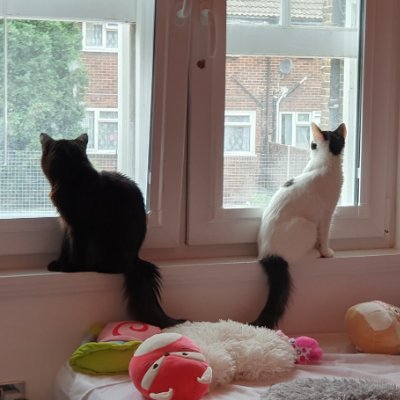 Sir_Chazza's profile picture. All round swell guy