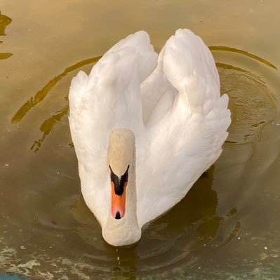 xavier3264's profile picture. 