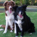 John-beni Mazzola - @jb_beni - Twitter