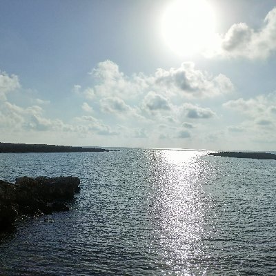 SzaryDoktor's profile picture. Ojciec lekarz, rezydent Medycyny Rodzinnej. Oszczędzam i inwestuje, jak się uda to wolność finansowa po 50 rż.
Opinie prywatne.