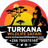 Turkana Wildlife Safaris(@SafarisCamp) 's Twitter Profile Photo