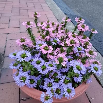 i2diahH87laUG4W's profile picture. 