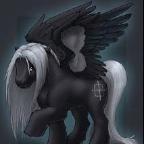 MLPColtonBrice's profile picture. loves @MLPStarLight dearly, we live in a realm where there is peace and harmony no evil and hatred