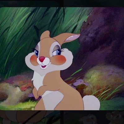 Jxjddjdi's profile picture. Hello everyone