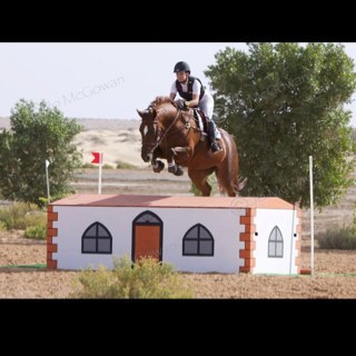 Equibuzz's profile picture. 