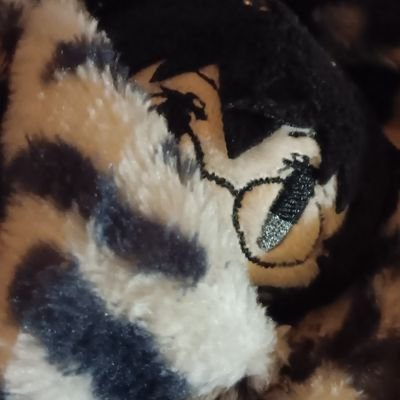 akcさんのプロフィール画像