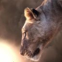 Deb Baker - @DebBaker41051 - Twitter