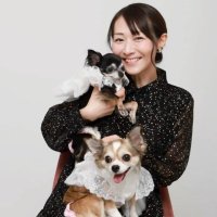 露木 麻土香🐕 (@pandapandamado1) Twitter profile photo