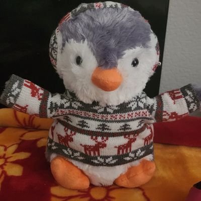 thepenguinunct's profile picture. unoficial soft toy/penguin/mascot of Cheadle town please note im unofficial and all views are my own LGBTQIA+ freindly named in hounour of cheadle town
