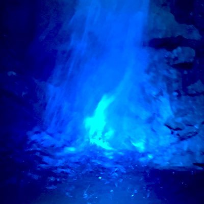 LHKrD4vONjqJ8Ae's profile picture. 