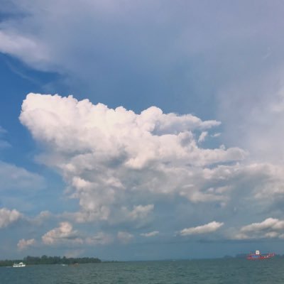 qd452's profile picture. 