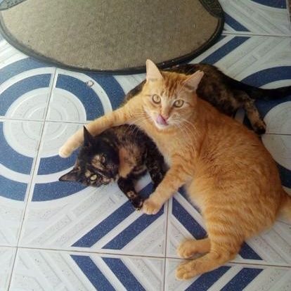 SusanaPerez1965's profile picture. Fiel a mi misma
Lo que defiendo en unos no lo critico en otros