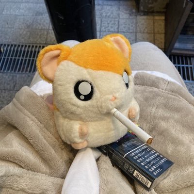 리밋대비계정 @Public_Pause 여기 더 자주 있어요