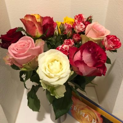 lim Nov. 配信希望 #リョータくん🫶 #りょうたくん🫶最推 @Hensyu_Yuuri_CH 🤝3+2回✨覚えててくれて嬉🥹 /J優/#優里 遭遇8回🤝/😎BOSS奢3人目/🥁/🍏🧡♨️🦅💙🌙https://t.co/WXEPkbtQDn 参戦↙️さらに表示