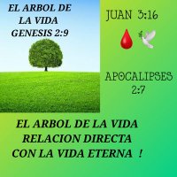 Felicitas Abanto Sanches (@sanchesabanto) 's Twitter Profile