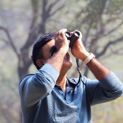 'In the mystery of their flight and beauty, in their inexplicable arrivals and departures, he felt he saw his life ' #IndianBirds #MyDailyBird ❤️