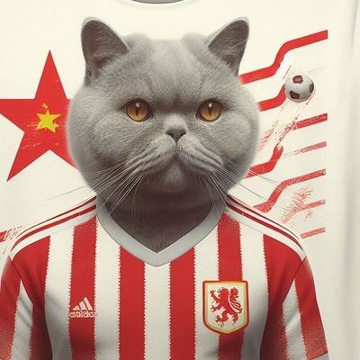 smartcatpsol's profile picture. South America - Software Developer - Me traz uma cerveja