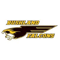 Bushland Falcon Baseball (@falcsbaseball24) Twitter profile photo
