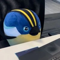 capibarameme (@capibarameme) 's Twitter Profile Photo
