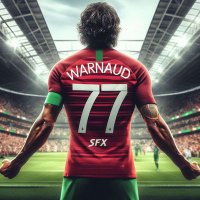 FF Warnaud (@warnitarnaud) 's Twitter Profile