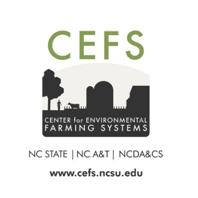 CEFS Profile