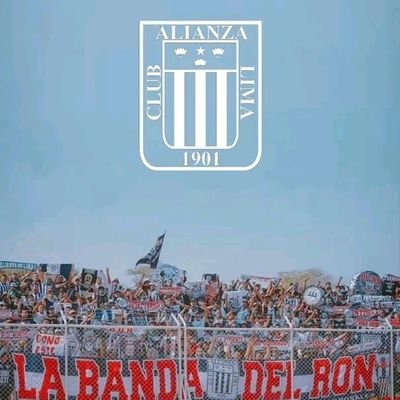 Cuenta dedicada 🅐︎🅛︎ más grande de 🇵🇪' , fiel a los colores.. sólo de @ClubALoficial @AlianzaLimaFF @AlianzaLimaVB #AlianzaLosPotrillos y nada más 💙⚪💙