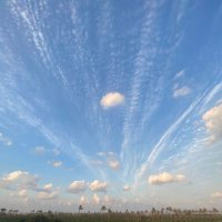 Mo Elgohary 💥 (@1moelgohary) Twitter profile photo